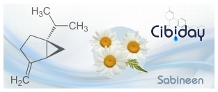 Sabineen informatie - Terpenen